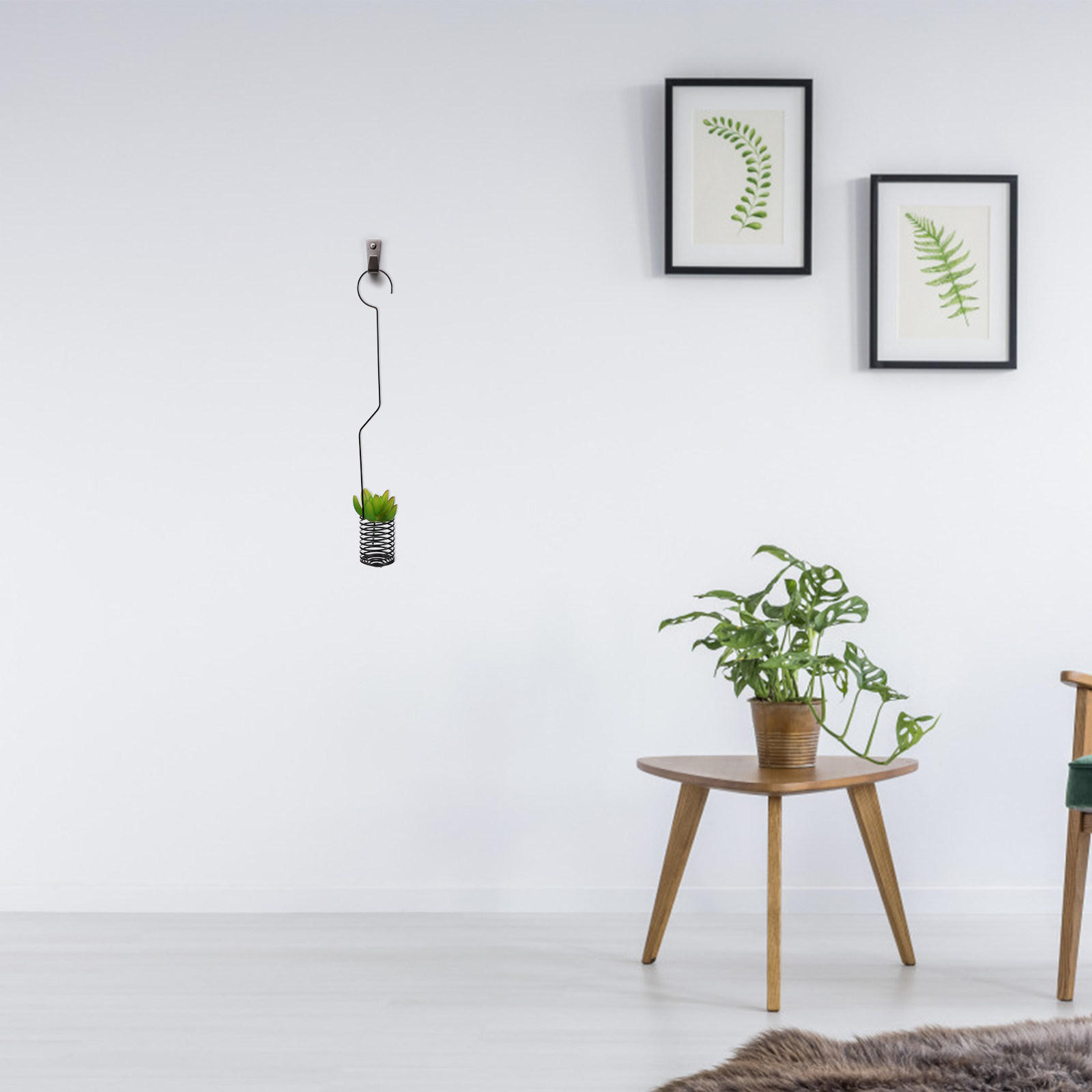 Air Plant Tillandsia - ที่แขวนต้นไม้แบบวินเทจ 1 ชิ้น ทำจากเหล็ก สำหรับแขวนต้นไม้ทิลแลนด์เซีย ตกแต่งอย่างมีสไตล์แบบชนบท