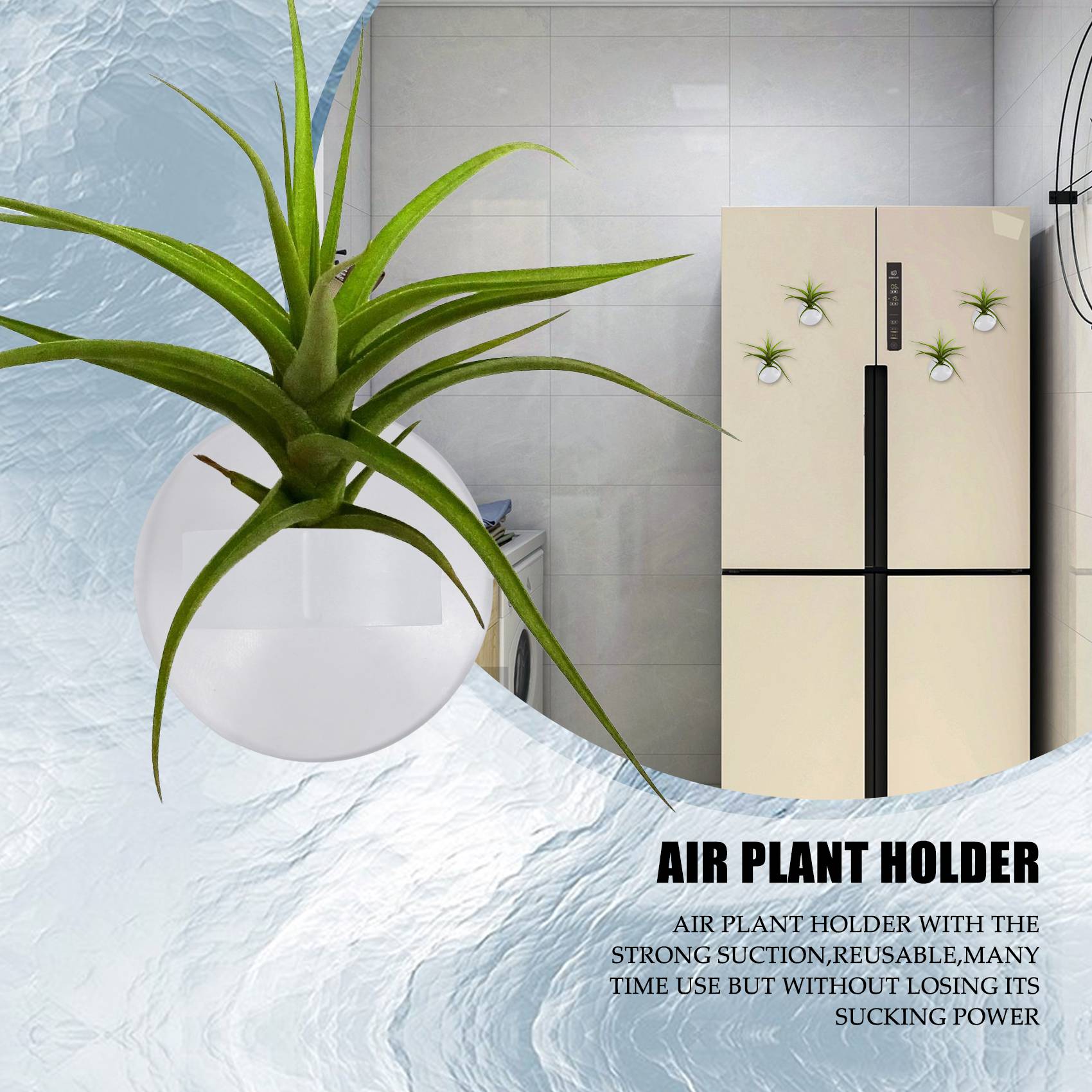 Air Plant Tillandsia - AC76-20 ชิ้น ที่แขวนต้นไม้แบบติดผนัง, กระถางต้นไม้แบบแขวน, ที่แขวนต้นไม้แบบมีถ้วยดูดสำหรับแขวน (ไม่รวมต้นไม้)
