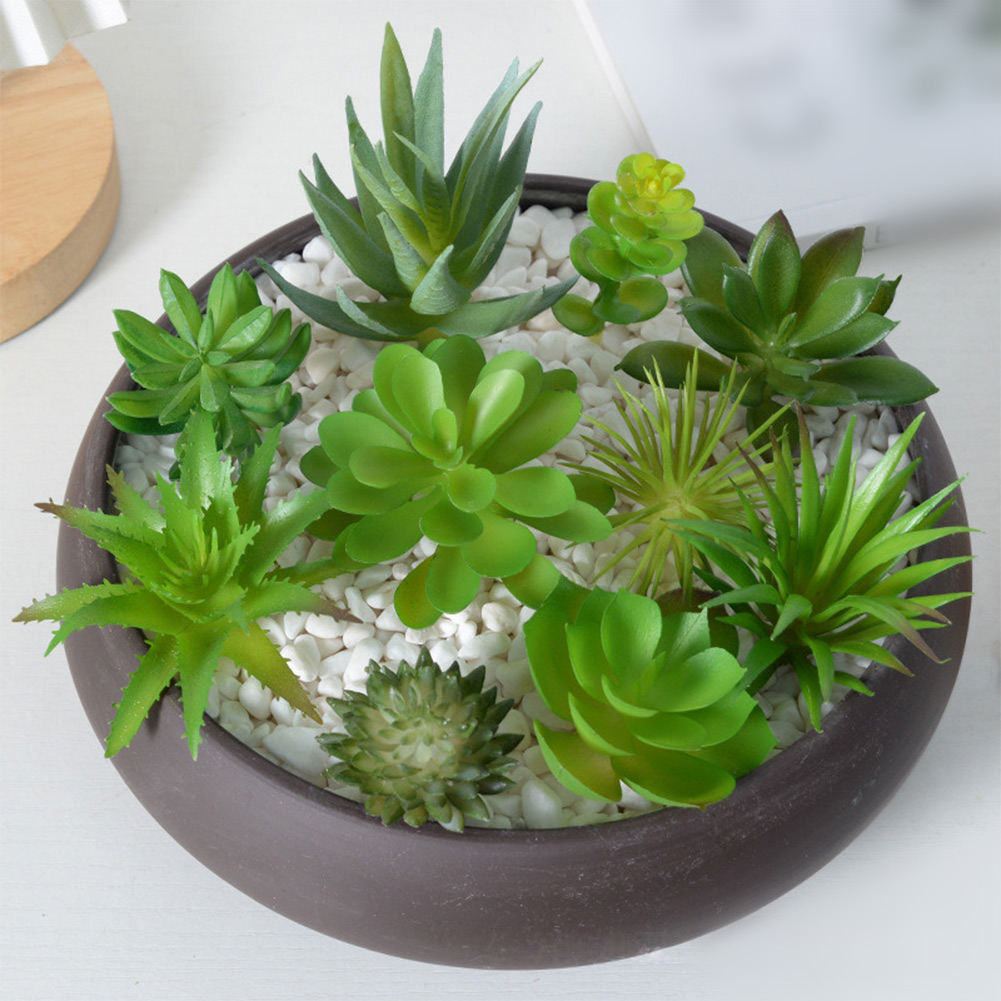 Succulent Arrangement Mini - ชุดตกแต่งต้นไม้ประดิษฐ์แบบมินิบอนไซ สำหรับตกแต่งบ้าน สำนักงาน โต๊ะทำงาน ชุดตกแต่งภายในบ้านทำจากพลาสติก