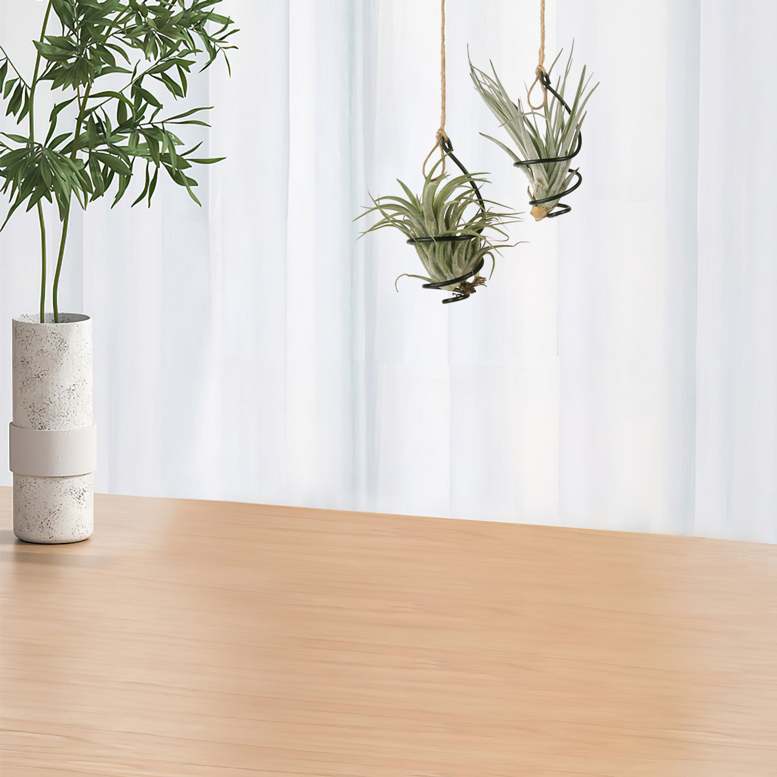 Air Plant Tillandsia - ชุด 12 ชิ้น ที่วางต้นไม้แบบแขวน ขาตั้งโลหะปรับระดับได้ สำหรับแขวนต้นไม้ทิลแลนด์เซีย