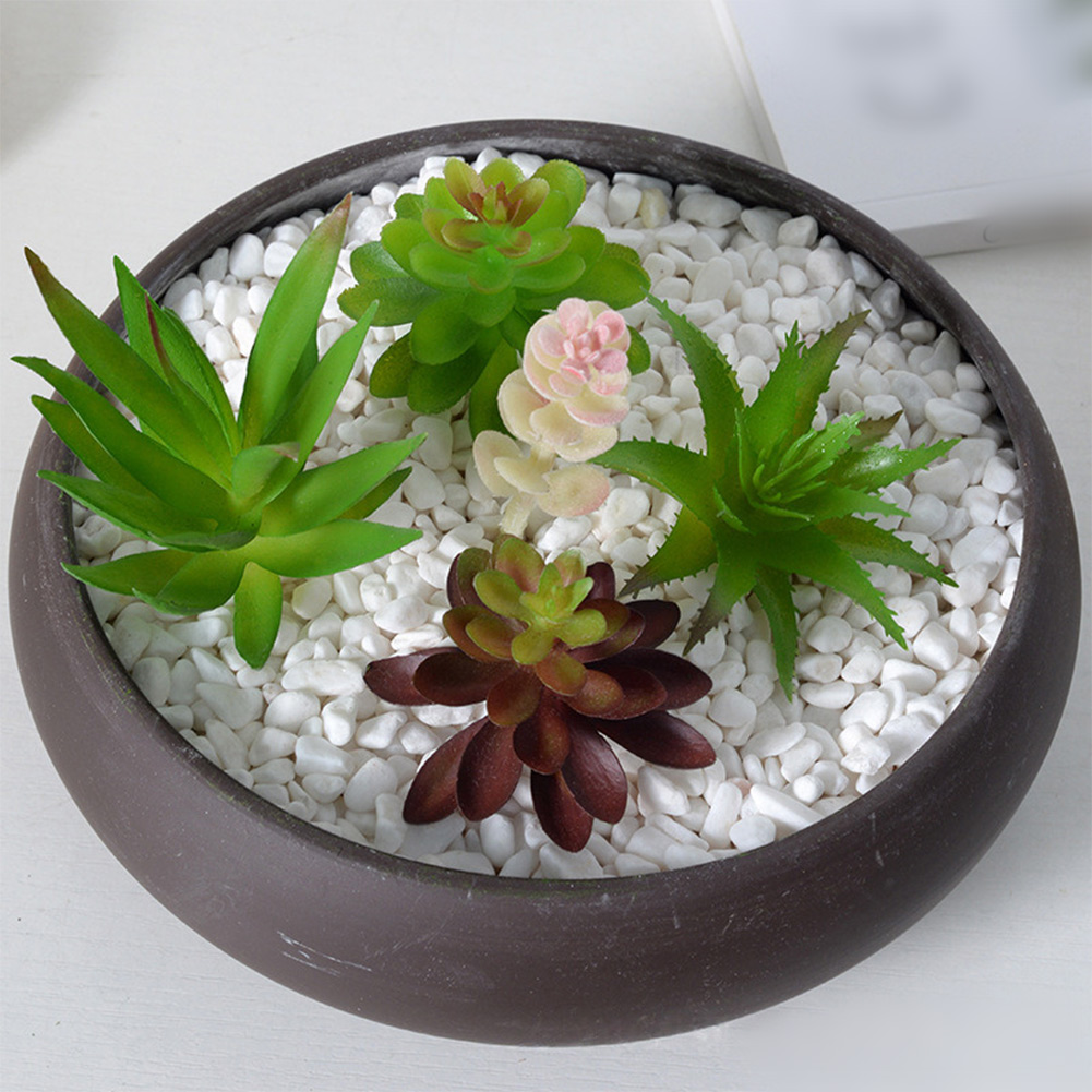 ต้นไม้ประดิษฐ์สำหรับจัดตกแต่งม - Succulent Arrangement Mini บทวิจารณ์และราคา