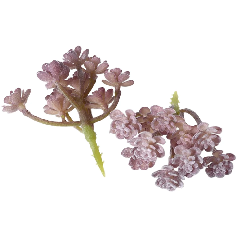 พืชประดิษฐ์ PVC สีม่วงแบบฟล็อก - Succulent Arrangement Mini บทวิจารณ์และราคา