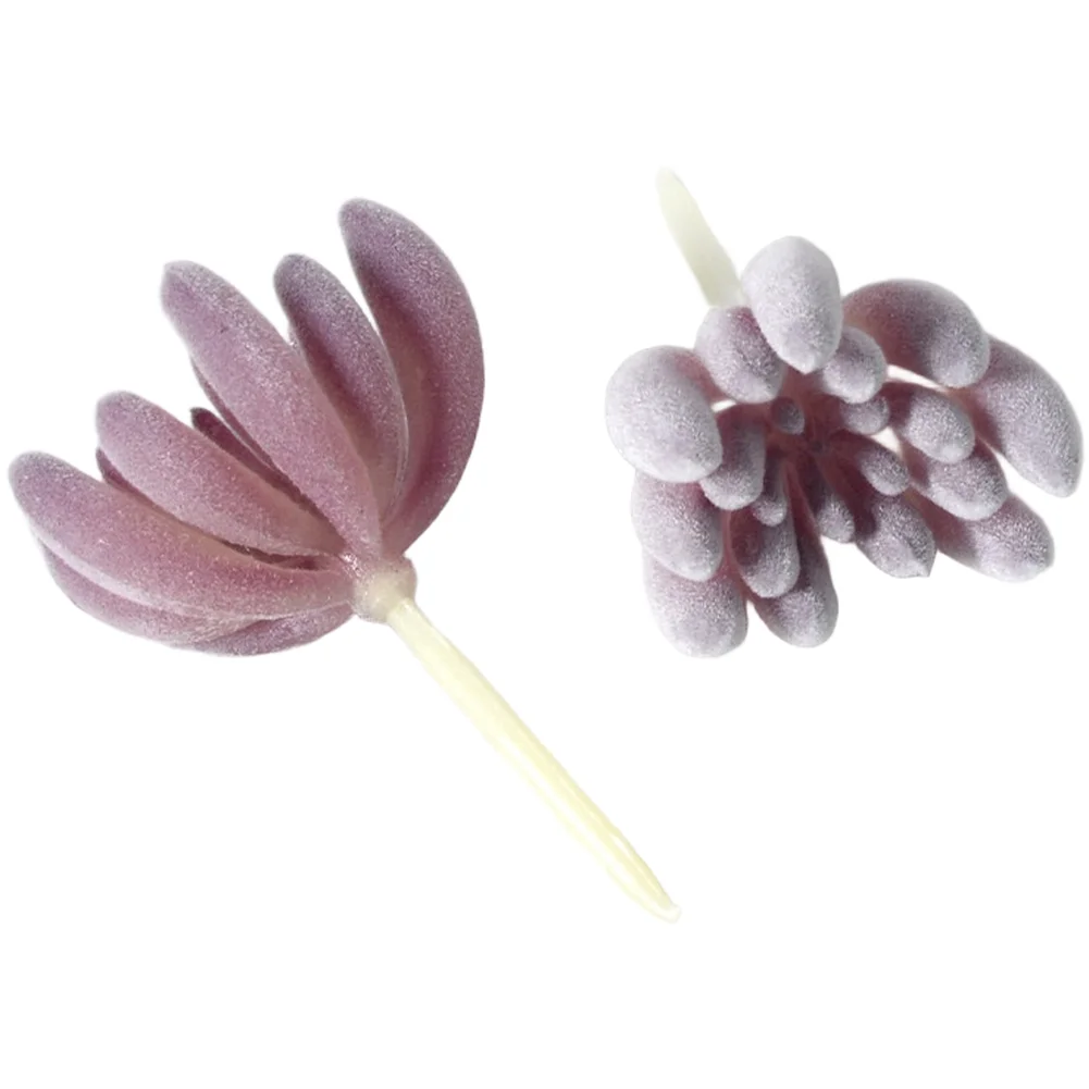 พืชประดิษฐ์ PVC สีม่วงแบบฟล็อก - Succulent Arrangement Mini บทวิจารณ์และราคา