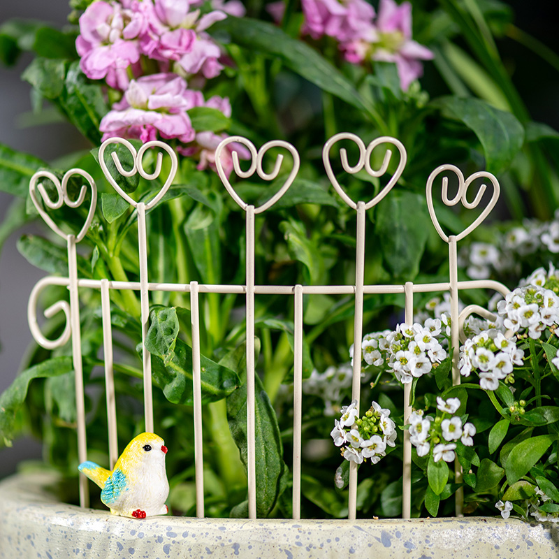 รั้วกระถางดอกไม้เหล็กขนาดเล็ก  - Succulent Arrangement Mini บทวิจารณ์และราคา