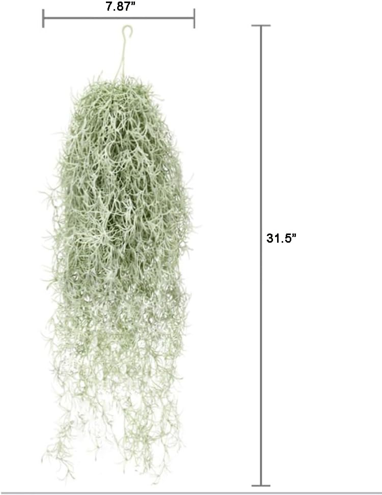 ประดิษฐ์ Flocking Tillandsia A - Air Plant Tillandsia บทวิจารณ์และราคา