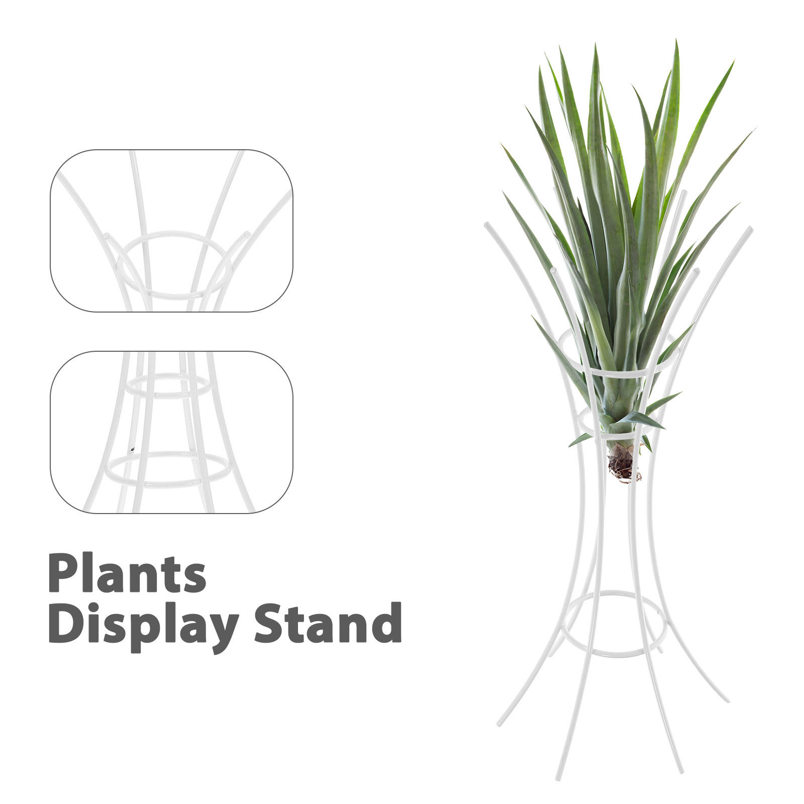 ที่วางต้นไม้แบบตั้งโต๊ะ วัสดุโ - Air Plant Tillandsia บทวิจารณ์และราคา