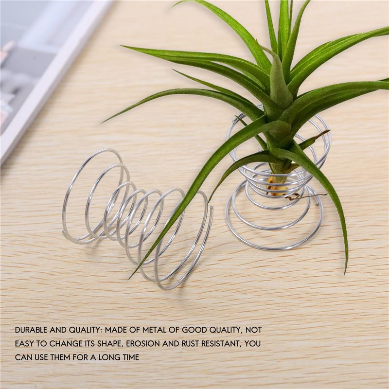 ขายดี-ชุด 6 ชิ้น แท่นวางต้นไม้ - Air Plant Tillandsia บทวิจารณ์และราคา