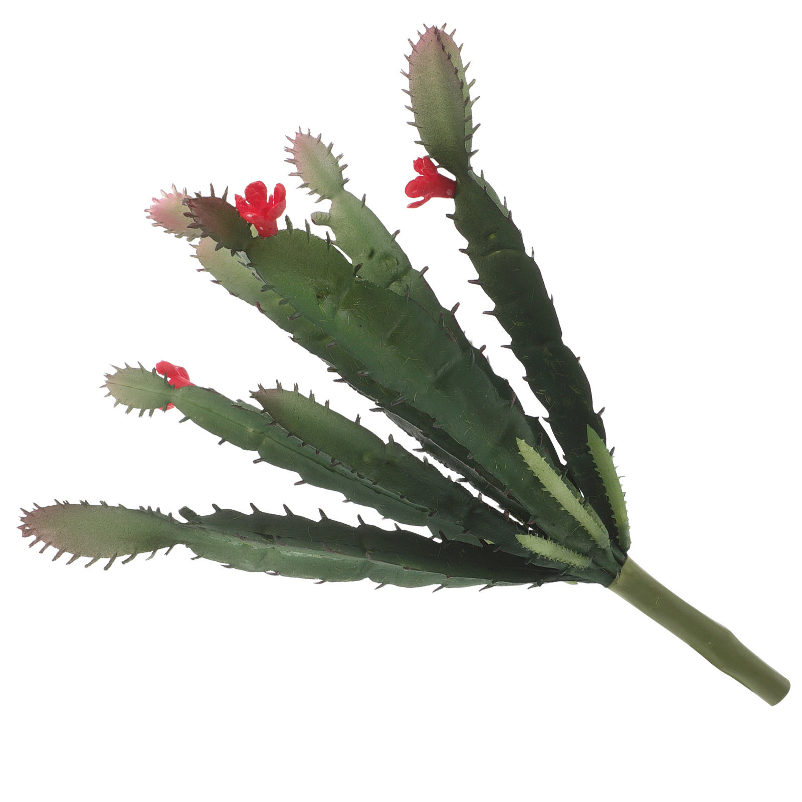 ต้นกระบองเพชรประดิษฐ์ขนาดเล็ก  - Succulent Arrangement Mini บทวิจารณ์และราคา