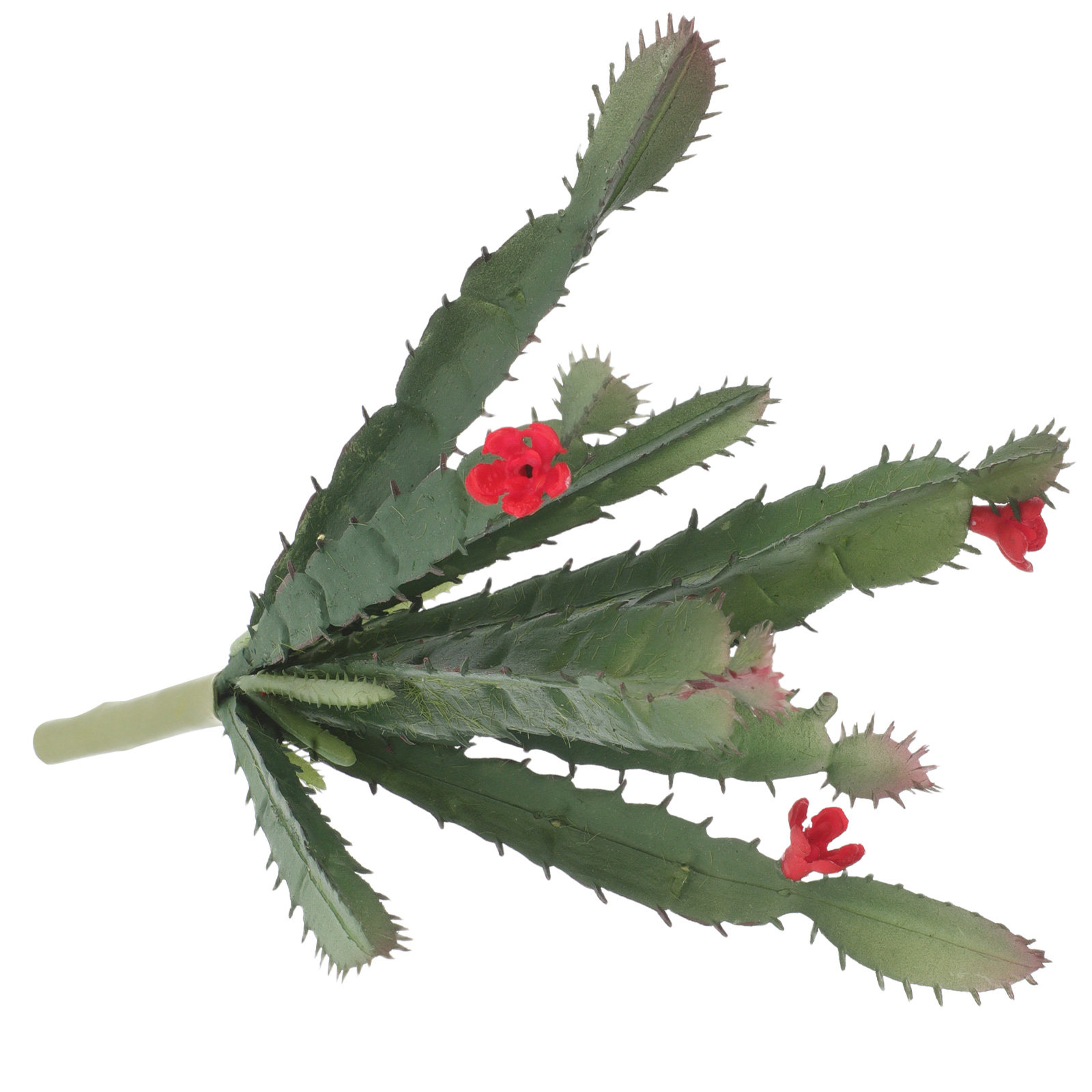 ต้นกระบองเพชรประดิษฐ์ขนาดเล็ก  - Succulent Arrangement Mini บทวิจารณ์และราคา