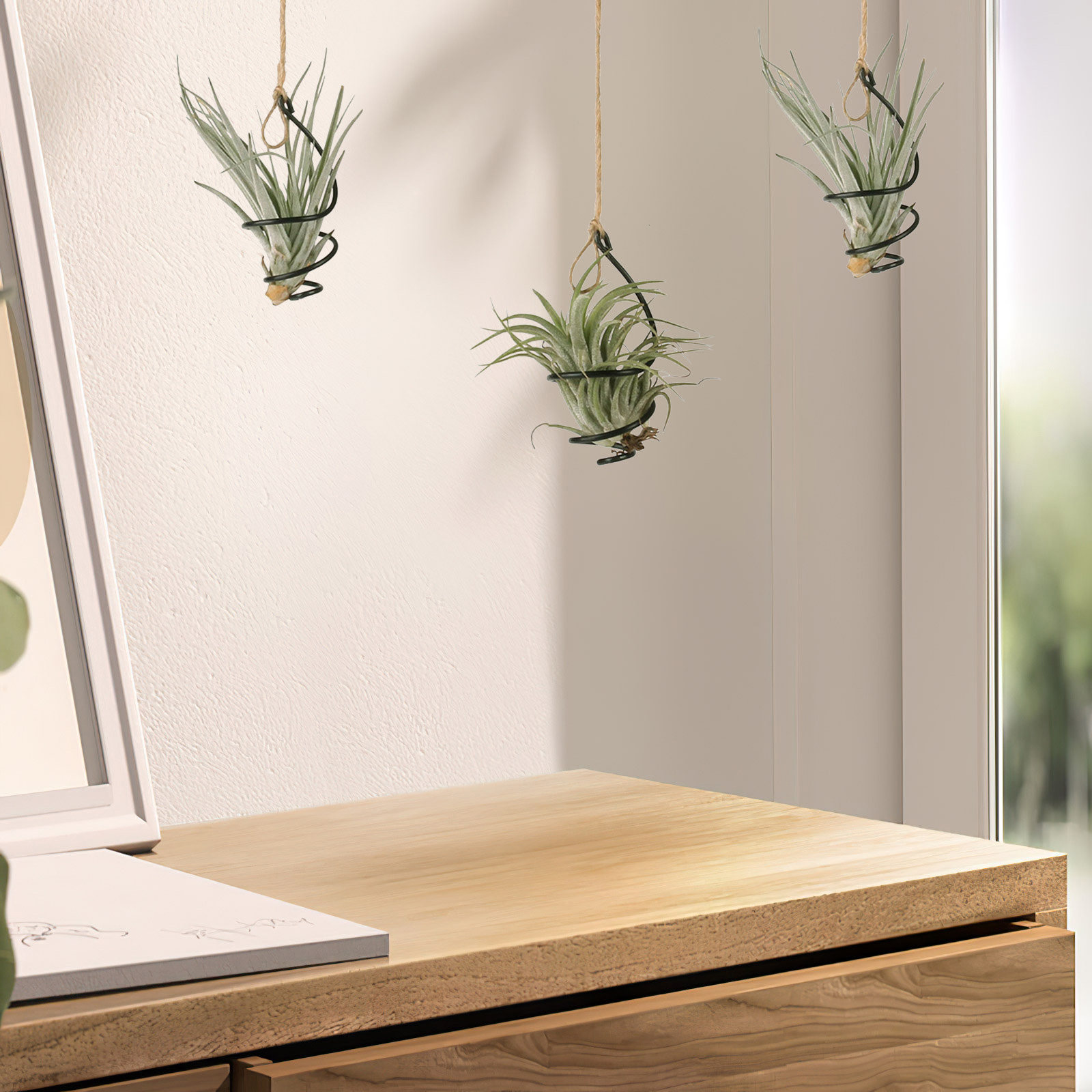 ที่แขวนต้นไม้แบบเกลียวโลหะสำหร - Air Plant Tillandsia บทวิจารณ์และราคา