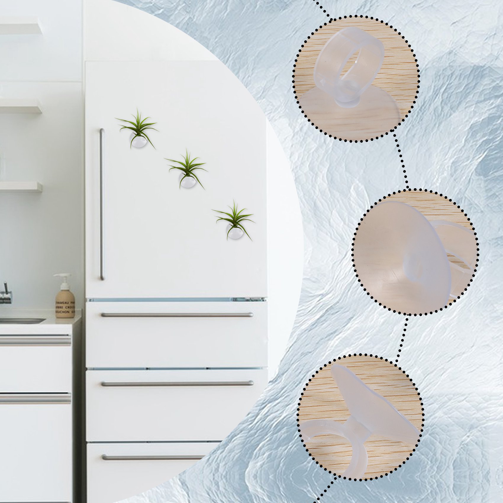 AC76-20 ชิ้น ที่แขวนต้นไม้แบบต - Air Plant Tillandsia บทวิจารณ์และราคา