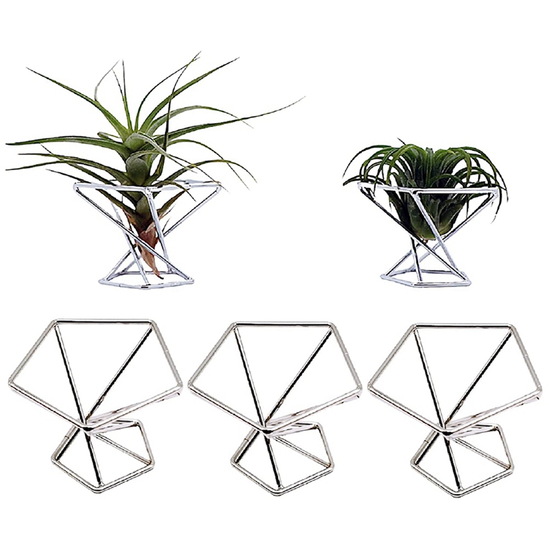 ชุด 5 ชิ้น ที่วางต้นไม้อากาศ ท - Air Plant Tillandsia บทวิจารณ์และราคา
