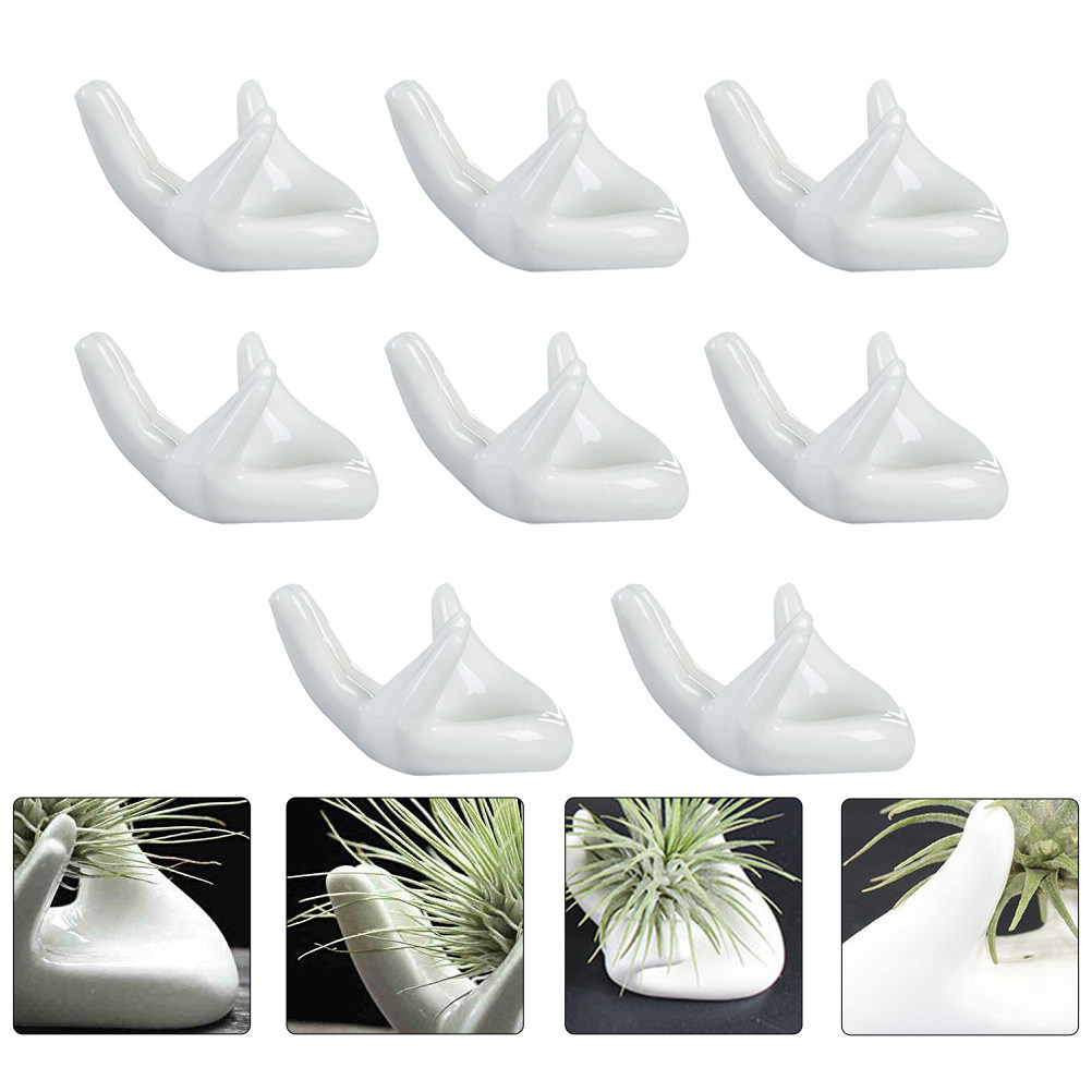 ฐานเซรามิกสำหรับวางต้นไม้ในอาก - Air Plant Tillandsia บทวิจารณ์และราคา