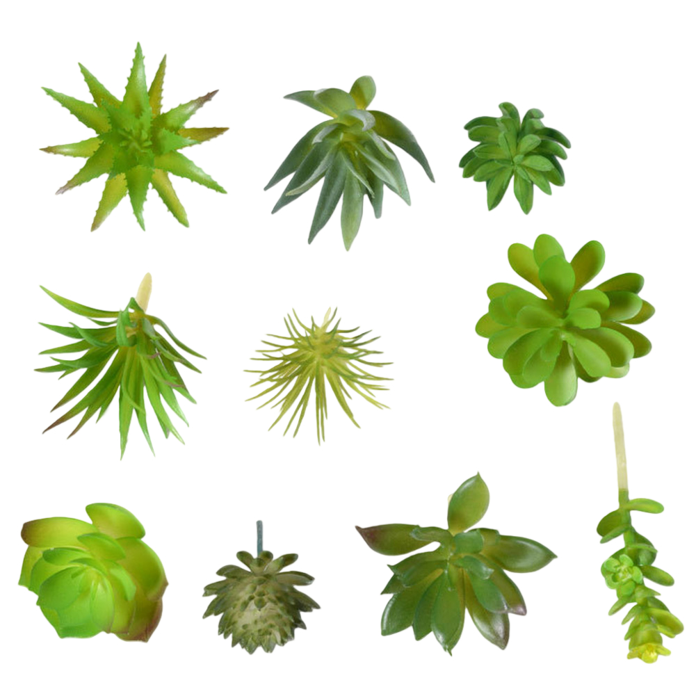 อุปกรณ์ประกอบฉากถ่ายภาพสำหรับจ - Succulent Arrangement Mini บทวิจารณ์และราคา