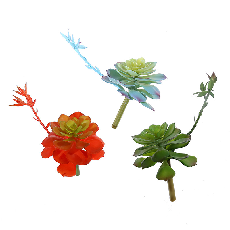 Wusmart Zhong Shi Lian ต้นไม้อ - Succulent Arrangement Mini บทวิจารณ์และราคา