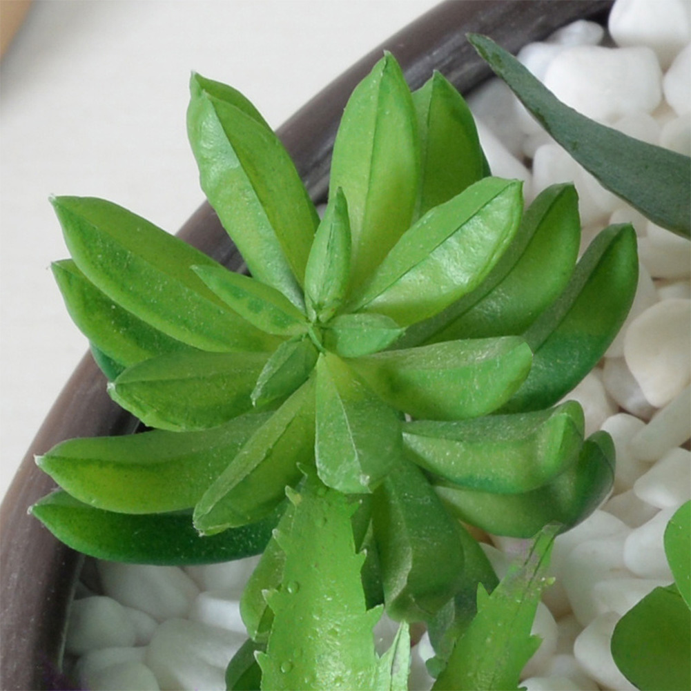 การจัดวางต้นไม้ประดิษฐ์แบบซัคค - Succulent Arrangement Mini บทวิจารณ์และราคา