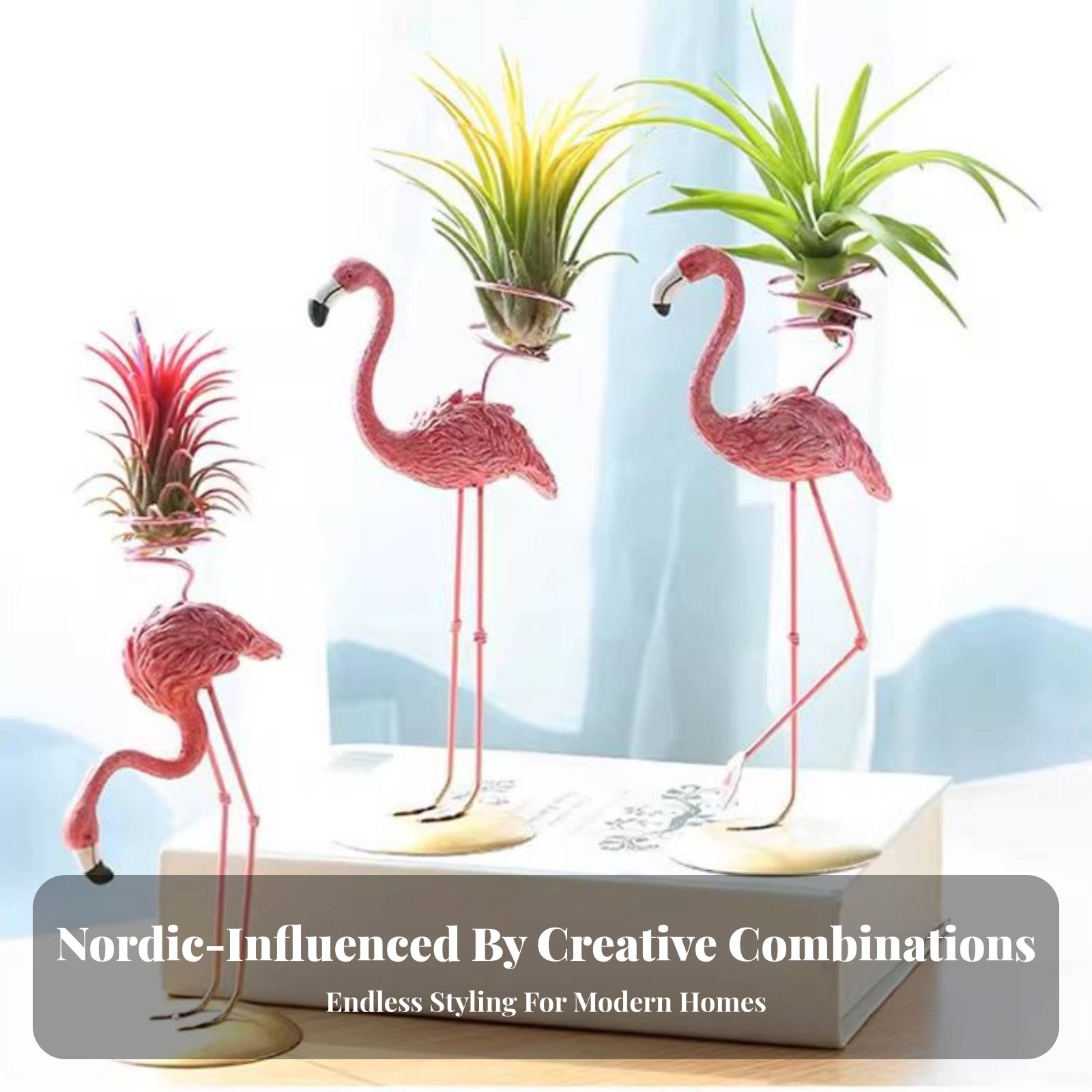 ที่วางต้นไม้ทรงเรขาคณิต ที่วาง - Air Plant Tillandsia บทวิจารณ์และราคา