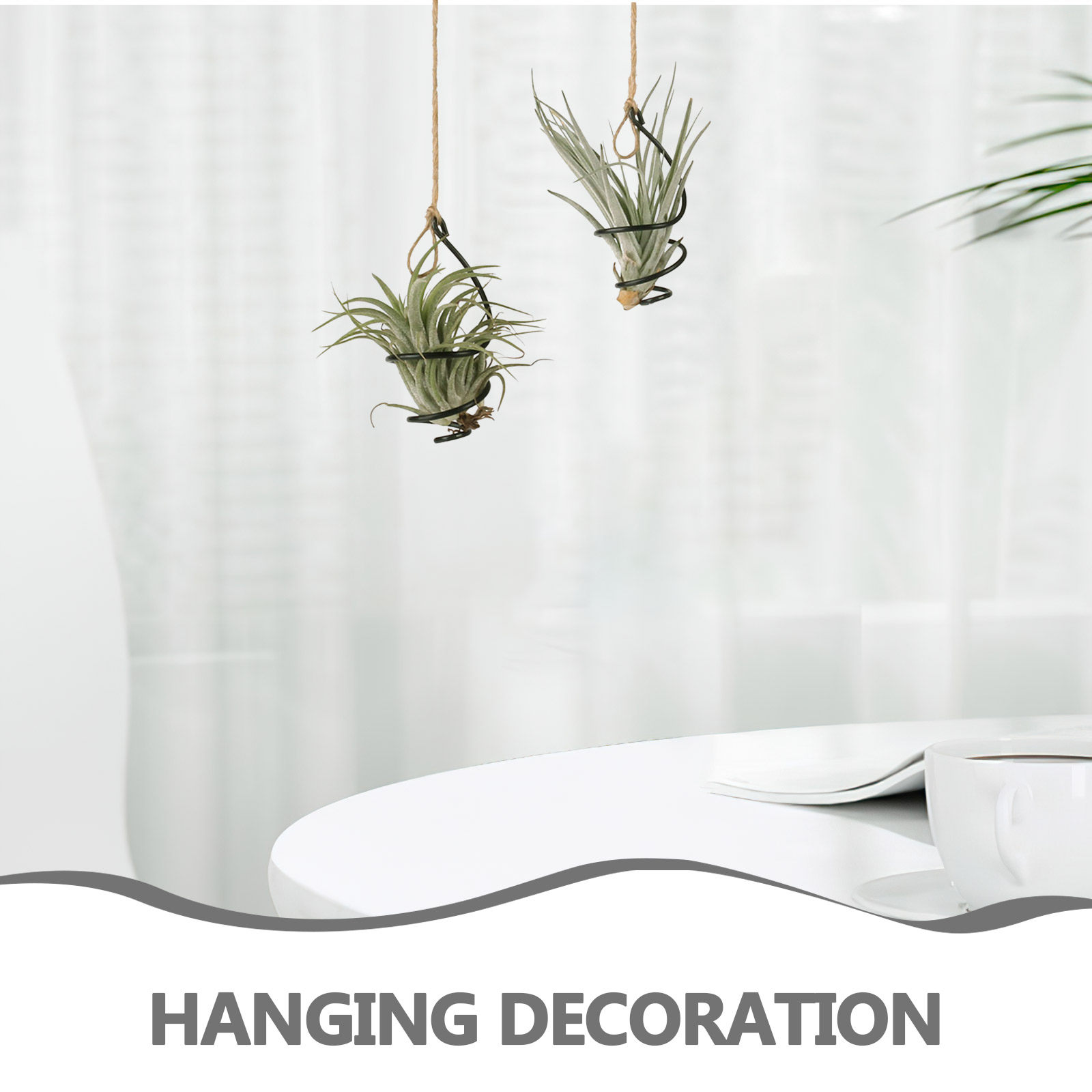 ชุด 12 ชิ้น ที่วางต้นไม้แบบแขว - Air Plant Tillandsia บทวิจารณ์และราคา